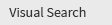 Visual Search